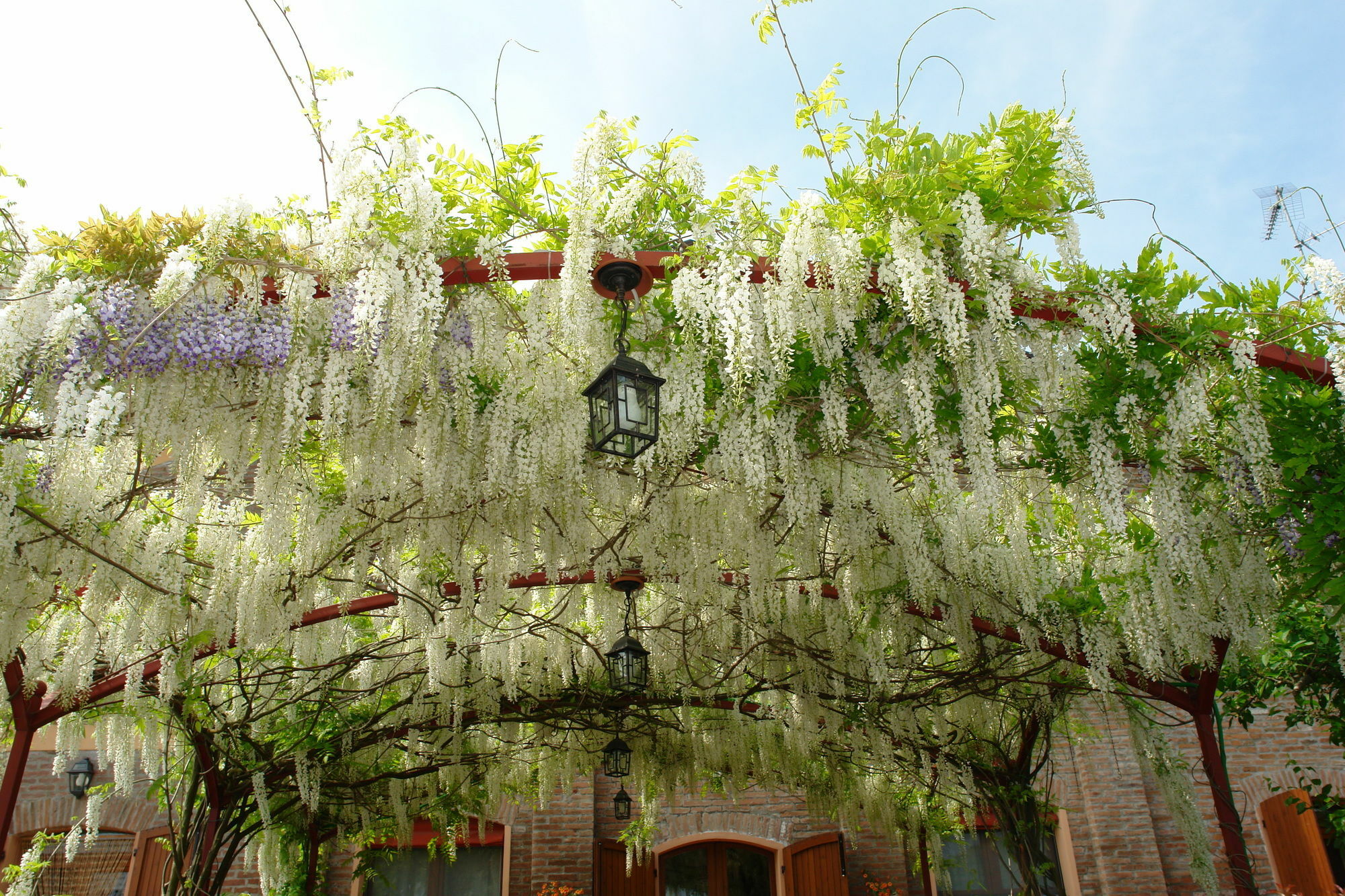 Lama Di Valle Rosa Ferrara Ngoại thất bức ảnh